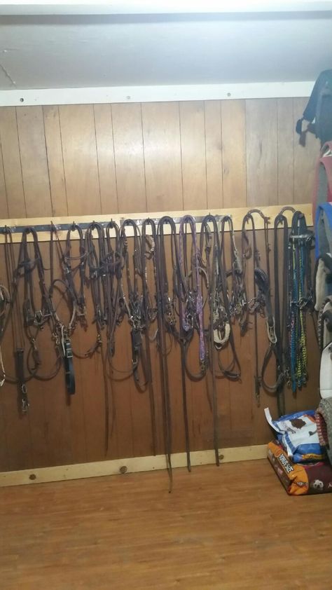 7 things to keep in the tack room to simplify your life Room Fridge, Tack Room Organization, Horse Tack Rooms, Recycling Containers, Tack Room, Dark Corners, Simplify Your Life, Mini Fridge, The Barn