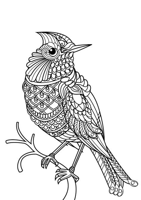 Bird, with complex and beautiful patterns, From the gallery : Animals This sight has a lot of free coloring pages. Family Coloring Pages, Farm Animal Coloring Pages, Horse Coloring Pages, Bird Coloring Pages, Free Adult Coloring Pages, Mandala Coloring Books, Printable Adult Coloring Pages, Animal Coloring Books, Easy Coloring Pages