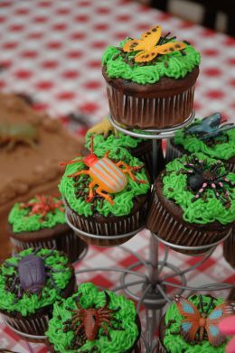 Black Bottom Cupcakes, Bug Cupcakes, Kids Birthday Party Food, Bug Cake, Unique Cupcakes, Girl Cupcakes, Kids Party Food, Love Cupcakes, Birthday Party Food