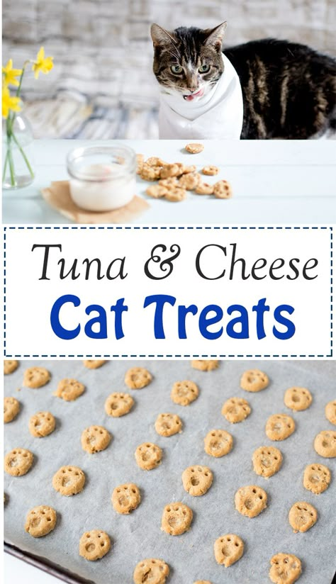 Homemade Cat Treats Recipes, Diy Cat Treats, Katt Diy, Homemade Pet Treats, Katt Grejer, Pet Treats Recipes, Homemade Cat Food, Healthy Dog Treats Homemade, Dog Treats Homemade Recipes