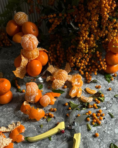 A moment for the beautiful winter fruit and foliage we are lucky enough to have growing abundantly here in the west! And also to balance out the orange tones in my feed 🍊🍊 • • • #highendflorist #perthflorist #weddingflorist #destintonwedding #europeanwedding #italianflorist #frenchflorist #europeanweddingflorist #inspiration#newyorkbridesmag #perthbride #foodstyling #perthweddingflorist#perthisok #design #art #floralart #fruitdesign #highenddesign #euroweddinginspo #bespokeweddingsitaly #fr... Winter Fruit, European Wedding, Orange Tones, Fruit Design, July 11, Lush Greenery, Wedding Florist, Food Styling, Wedding Modern