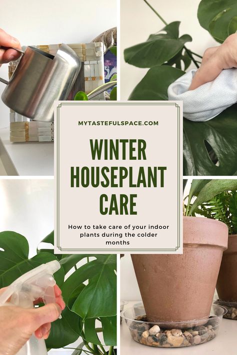 Indoor plants needs during the cold winter months should be different. Learn the essentials to properly care for your houseplants in winter. #houseplants #houseplantcare #gardening #indoorgardening #plantscare #indoorplantscare Indoor Plant Care Guide, Philodendron Care, Low Maintenance Indoor Plants, Healthy Avocado, Avocado Plant, Winter Care, Houseplant Care, Greenhouse Plants, Water House