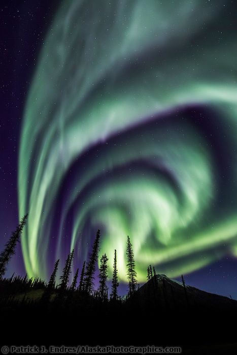 The aurora borealis lights the nights sky in Alaska's Brooks range, arctic, Alaska Winter Drawings, The Aurora Borealis, Northern Lights (aurora Borealis), Aurora Borealis Northern Lights, The Nights, The Aurora, Natural Phenomena, Beautiful Sky, Science And Nature