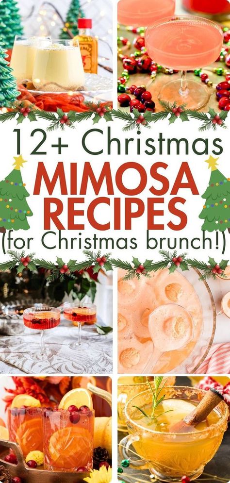 These Christmas Mimosas are the best Christmas morning mimosas to make for Christmas brunch. These recipes are all easy and fun holiday mimosas that are great for a crowd. Try a cranberry mimosa or a green grinch mimosa. You can use either champagne or prosecco and you can serve these in individual flutes with a mini ornament for decor or in a pitcher or punch bowl. If you want to set up a Christmas bar for a party, you’ll find some great Christmas mimosa ideas in this list! Christmas Mimosa Mocktail, Fancy Mimosa Recipe, Mimosa Without Champagne, Christmas Themed Mimosa, Holiday Mimosas Recipe, Mimosa Christmas Bar, Fun Mimosa Ideas, Cranberry Mimosa Champagne, Mimosa Christmas Drink