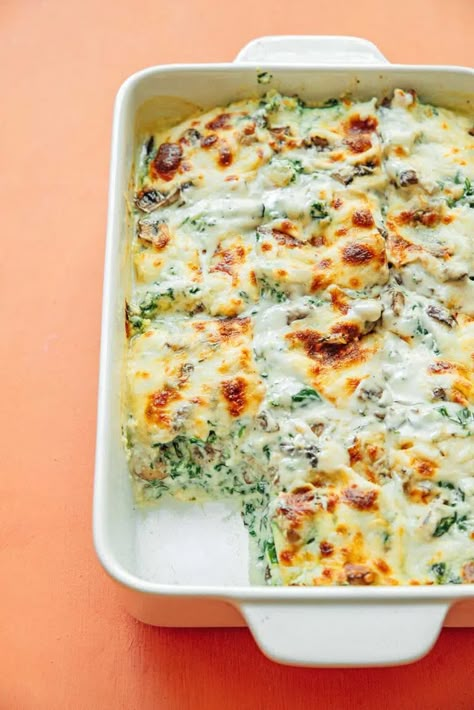 The Best Zucchini Lasagna, Zucchini Alfredo Lasagna, Gluten Free White Lasagna, Zucchini White Lasagna, Zucchini Lasagna White Sauce, Low Carb Veggie Lasagna, Zucchini Noodle Lasagna, Dairy Free Zucchini Lasagna, Garden Lasagna