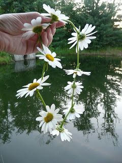 Halloween In Spring, Flower Chain, How To Daisy Chain, Diy Daisy Chain, How To Make Daisy Chains Real Flowers, Daisy Chains Aesthetic, Daisy Chains, Daisy Charm Necklace, Daisy Flower Crown