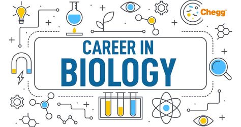 This article focuses on the best career options in Biology for students, as we know that Biology is the only subject that encompasses every element of life right from the human beings and tiniest molecule to large animals.  Read more.


#Biology , #JobOpportunities , #Careerguidance , #biologicalfield, #jobs Biology Degree Aesthetic, Biology Careers, Best Career Options, Biology Degree, Biology Major, Career Decisions, Career Ideas, Environmental Scientist, Best Career