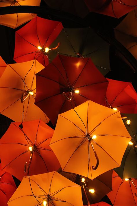 orange umbrella with black background photo – Free Image on Unsplash Umbrella Aesthetic, Elf Is Back Ideas, Black Background Photo, Simple Thanksgiving Table Decor, 4k Phone Wallpapers, Orange Umbrella, Iphone11 Pro, Best Iphone Wallpapers, Thanksgiving Table Decorations