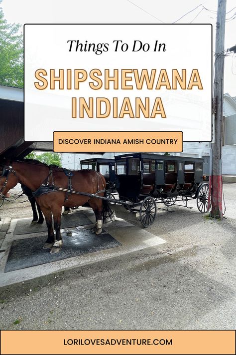 Explore Indiana Amish Country. #shipshewana #amish #Indiana Shipshewana Indiana Things To Do, Bus Trips, Shipshewana Indiana, Fishers Indiana, Midwest Region, Amish Community, Fall Road Trip, Thanksgiving Weekend, Unique Vacations