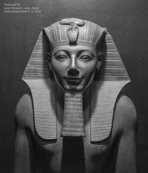 Female Pharaoh, Sphinx Tattoo, Queen Tattoos, Thutmose Iii, Egyptian Kings And Queens, African History Facts, Ptolemaic Egypt, Anime Egyptian, Egyptian Kings