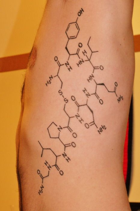 I feel like I couldn't get another molecular structure tattoo since I already have one now.... but I want it Oxytocin Tattoo, Tattoo Ideas For Couples, Chemistry Tattoo, Cute Tattoo Ideas, Science Tattoos, Outer Forearm Tattoo, Minimalistic Tattoo, Cute Tattoo, Tattoo Forearm