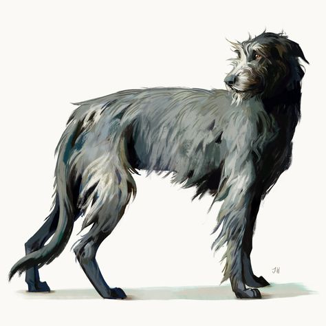 Irish Hound, Wolfhound Dog, Canine Drawing, Canine Art, Irish Wolfhound, Dog Illustration, Wolf Art, Dog Drawing, Dog Paintings