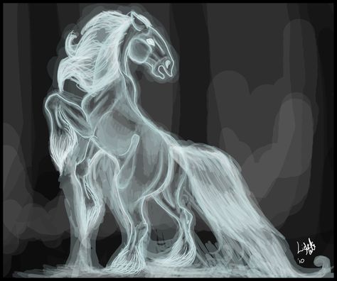 Gentleman Ghost, Ghost Horse, Scary Creatures, Mare And Foal, Halloween Shoot, Ghost Drawing, Halloween Illustrations, High Horse, Artistic Ideas