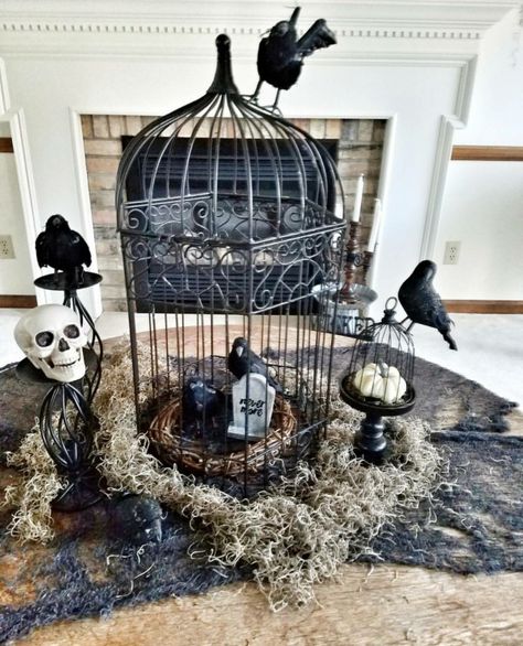 Farmhouse Halloween Decor Bird Cage Ideas, Farmhouse Halloween Decor, Halloween Decorations Ideas, Halloween Living Room, Mitzvah Decor, Farmhouse Halloween, Easy Halloween Decorations, Bird Cage Decor, Halloween Village