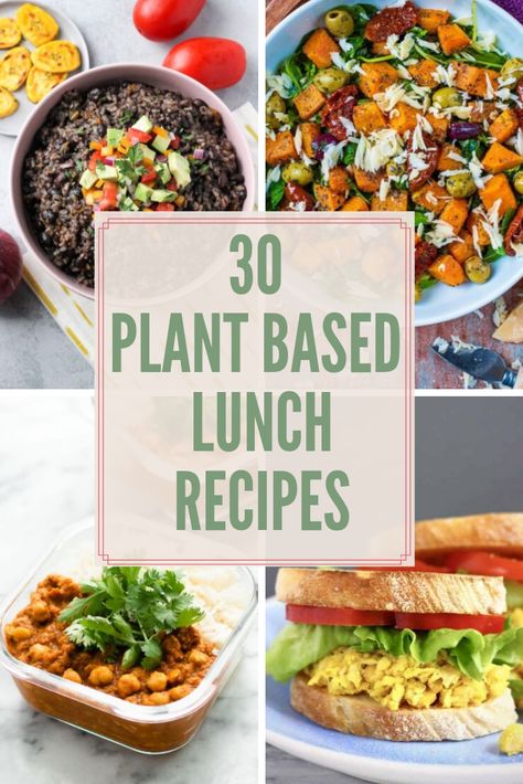 Looking for plant based lunch ideas?  This list of 30 vegan and vegetarian recipes should give you lots of inspiration to get started! Many of these can be made in advance and don't require reheating! #wfpb #plantbased #vegan Plant Based Lunch Ideas, Wholesome Salads, Plant Based Lunch, Vegan Wraps, Plant Based Diet Recipes, Wfpb Recipes, Plant Based Whole Foods, Vegan Lunch Recipes, Veggie Wraps