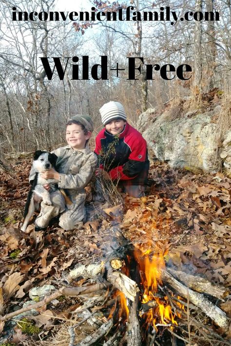 Have you heard of this #homeschool philosophy called #wild+free. #Charlotte mason #nature study #hs reviews Wild And Free Homeschool, Free Charlotte Mason, Wild Wednesday, Kids Training, Call Of The Wild, Free Homeschool, Charlotte Mason, Wild Free, Managing Emotions