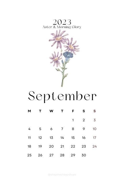 minimal simple month of September wall calendar How I Take Notes, 2023 Monthly Calendar, Minimal Calendar, Daily Schedule Printable, September Wallpaper, September Flowers, September Calendar, Journal Inspiration Writing, Circle Quotes