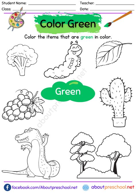 Color Green Worksheet for Preschool 22 Color Worksheets For Kindergarten, Color Activities Kindergarten, Worksheets For Playgroup, Colors Worksheet, Colors Activity, Colors Preschool, Green Activities, Preschool Worksheets Free Printables, Color Worksheet