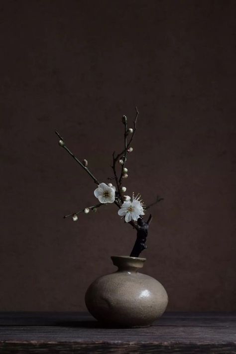 Wabi Sabi Plants, Arreglos Ikebana, Zen Pictures, Ikebana Sogetsu, Axel Vervoordt, Ikebana Flower, Wabi Sabi Art, Pottery Form, Still Life Photos