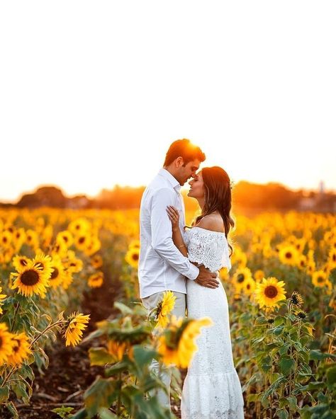 Sunflower Field Photography, Sunflower Field Pictures, Wedding Fotos, Country Wedding Photography, Sunflower Photography, Fall Engagement Pictures, Sunflower Themed Wedding, Sunflower Photo, Engagement Pictures Poses