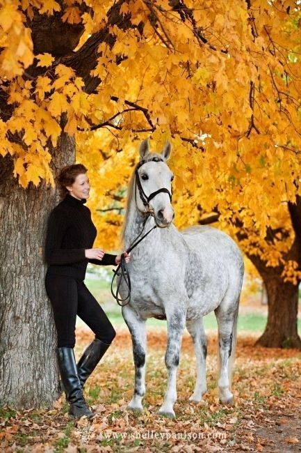 Senior Horse Photography, Equestrian Photoshoot, Autumn Horse, Equine Photography Poses, Horse Photo Shoot, Horse Senior Pictures, Photo Horse, Horse Photoshoot Ideas, Equine Photoshoot