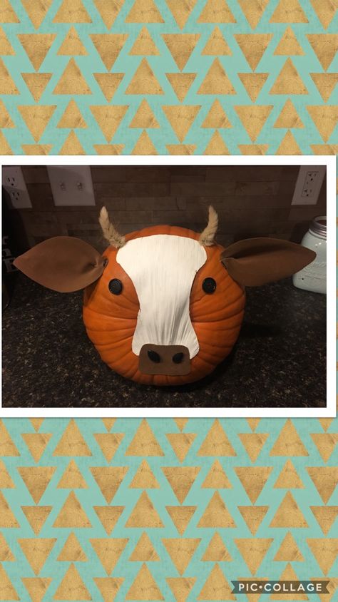 Cow Pumpkin Bull Pumpkin Painting, Cow Pumpkin Carving, Cow Pumpkin Painting, Highland Cow Pumpkin, Pumpkin Painting Idea, Cow Pumpkin, Pumpkin Carving Art, Halloween Pumpkin Crafts, Beef Cow