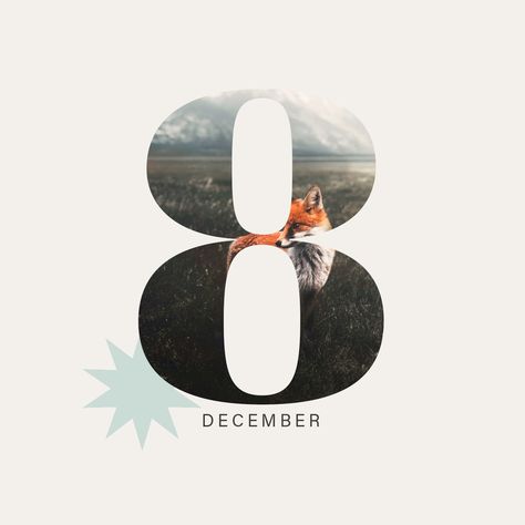 8th December - ADVENT CALENDAR 🎁🎄 Win a stay at OLM Nature Escape Visit our website and participate now ✨ >>lifestylehotels.net/en/advent-calendar-2023/ You can also enter at our Instagram Giveaway to double your chances to win >> https://www.instagram.com/lifestylehotels_/ Good luck ✨ Instagram Giveaway, Date Me, Good Luck, Advent Calendar, Advent, Canning