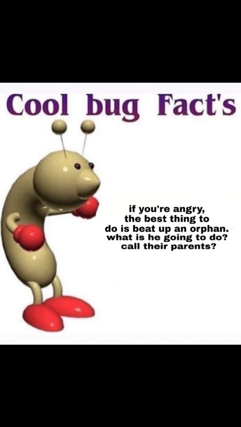 Cool Bug Facts, Very Funny Jokes, Cool Bugs, Snapchat Funny, Work Memes, Get To Know Me, Lose My Mind, Really Funny Pictures, Dankest Memes