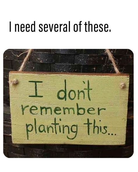 Gardening Memes Hilarious, Gardening Memes, Gardening Humor, Memes Hilarious, Garden Club, Funny Memes, Humor, Memes, Plants