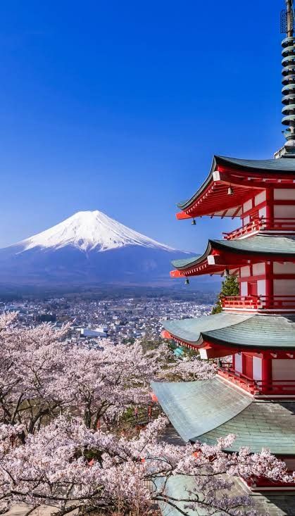 Japan https://renghaholidays.com/packages/280/Best-of-Japan-5N-6D The only and the best way to reach Japan is by air. A number of connecting as well as direct flights operate from India to Japan. The major airports in Japan are Osaka International Airport, Narita Airport, Haneda and Kansai Airports. Most of the flights arrive at Haneda Airport in Tokyo from India. For enquiries 24/7assit:-* +91 770 889 4141 *Rengha Holidays Tourism Private Limited* Theni. Dindigul. Madurai Mayiladuthurai 2 Weeks In Japan, Day Trips From Tokyo, Spring In Japan, Japan Itinerary, Mont Fuji, Japan Travel Tips, Itinerary Planning, Japan Travel Guide, Mt Fuji