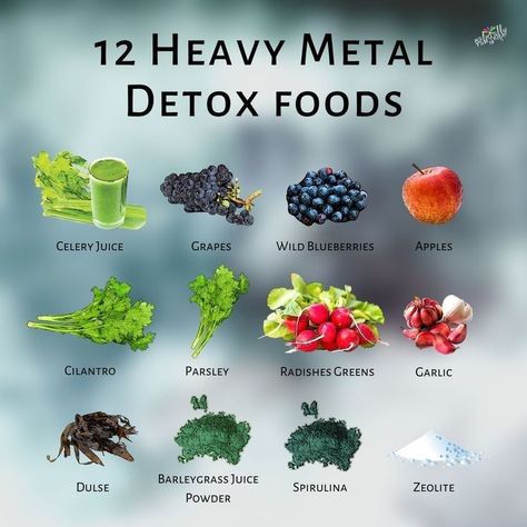 Detox Foods, Detoxifying Food, Heavy Metal Detox, Food Health Benefits, Herbal Healing, Herbs For Health, Body Detox, Detox Your Body, Healing Food