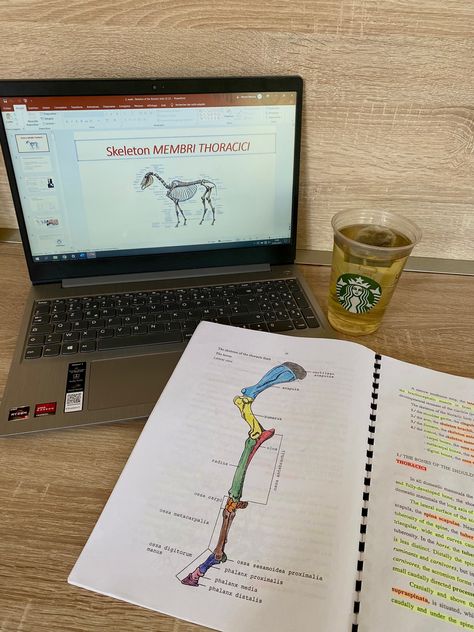 Aesthetic. Studies. Veterinarian. Picture inspi. Ig story. Instagram. Goal. Student life. Veterinarian School Aesthetic, Horse Vet Aesthetic, Vetinary Aesthetic, Black Veterinarian Aesthetic, Vet Student Aesthetic, Veterinarian Aesthetic, Vet Aesthetic, Veterinary Medicine Student, Veterinarian School