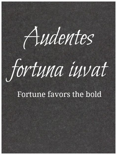 Audentes fortuna iuvat | fortune favors the bold (Silver Lining blog) Tattoo Quotes Latin, Audentes Fortuna Iuvat, Quotes Latin, Latin Quotes, Fortune Favors The Bold, Men Tattoos, Latin Phrases, Aries Woman, Bird Tattoo