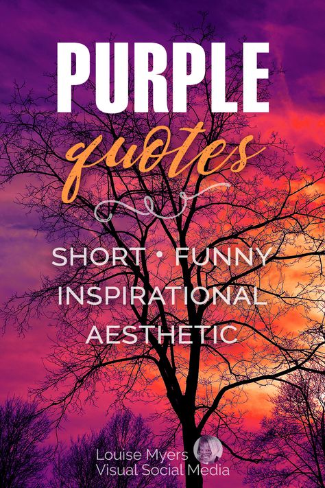 brilliant purple and orange sky with silhouettes of bare trees. Quotes About Purple Color, Purple Quotes Aesthetic, Purple Sayings, Violet Quotes, Inspirational Aesthetic, Short Sayings, Dress Quotes, Colours That Go Together, Purple Day