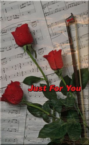 Learn Violin, Musical Art, Rose Art, Love Rose, Jolie Photo, Laura Lee, Music Love, Be My Valentine, Music Notes