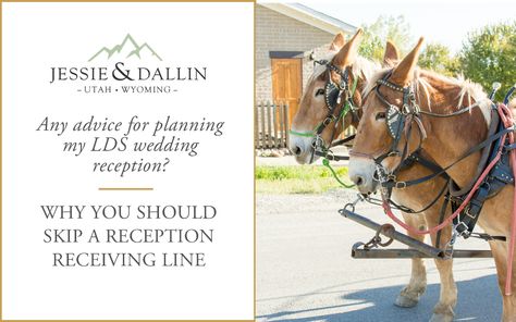 Why You Should Skip a Receiving Line During Your LDS Temple Wedding Reception - Utah Wedding Photographers | Jessie and Dallin Lds Wedding Reception, Lds Weddings Reception, Guest Entertainment, Lds Temple Wedding, Lds Temples Wedding, Lds Wedding, Temple Wedding, Lds Temple, Lds Temples