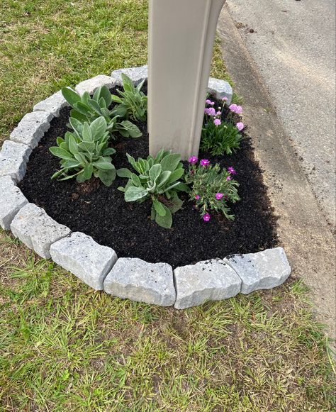 Mailbox Ideas Landscaping, Cheap Mailbox Makeover, Mailbox Landscaping Ideas Diy, Landscaping Walkways To Front Door, Easy Mailbox Ideas, Landscape Diy Ideas, Simple Mailbox Landscaping, Mailbox Planting Ideas, Landscaping Around Mailbox