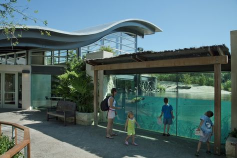 Planet Zoo Tropical, Fort Worth Zoo, Zoo Art, Zoo Architecture, Stone Walls Interior, Zoo Park, Animal Learning, Limestone Wall, Dappled Light