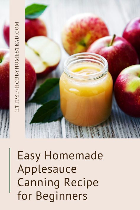 jar of homemade applesauce Pressure Canning Applesauce, Easy Homemade Applesauce, Bushel Of Apples, Canning Applesauce, Canning Apples, Recipe For Beginners, Canning Recipe, Homemade Applesauce, Autumn Recipes