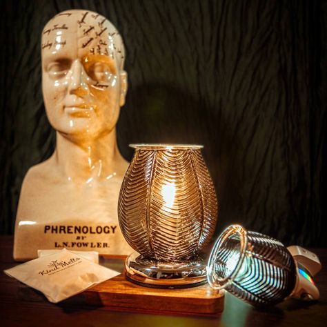 Electric wax burner illuminating a dark academia decor style with phrenology head. to the right is a plug in wax warmer and the left is eco wax melts. Electric Wax Warmer, Wax Melt Warmer, Wax Warmers, Wax Melts, Need To Know, Lamps, Wax, Electricity