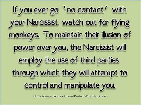 To My Narcissist Father-In-Law's Flying Monkey | Open Letter Teacher Info, Emotional Vampire, Flying Monkeys, Narcissistic People, Narcissistic Mother, Narcissistic Behavior, Brain Games, Toxic People, Toxic Relationships