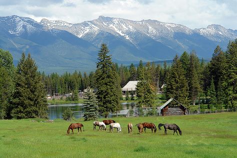 Montana. Ranch In The Mountains, Farm In The Mountains, Wyoming Farm, Montana Farm, Herd Of Horses, Ranch Montana, Dream Ranch, Horses Grazing, Montana Ranch