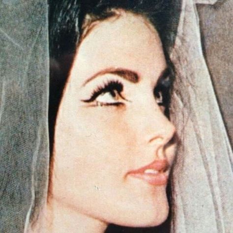 Priscilla Presley eye makeup. She remind me of lana del rey Priscilla Presley, Veil, Black Hair, A Woman, Makeup, Hair, Black, Make Up