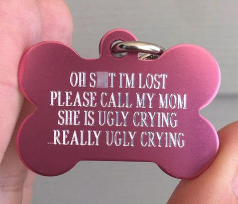 You Can Get These Funny Tags For Your Dogs In Case They Get Lost Tatoo Dog, Ugly Crying, Spitz Pomeranian, Dog Collar Tag, Engraved Dog Collar, Ugly Cry, Custom Pet Tags, Pet Tags Personalized, Dog Collar Tags