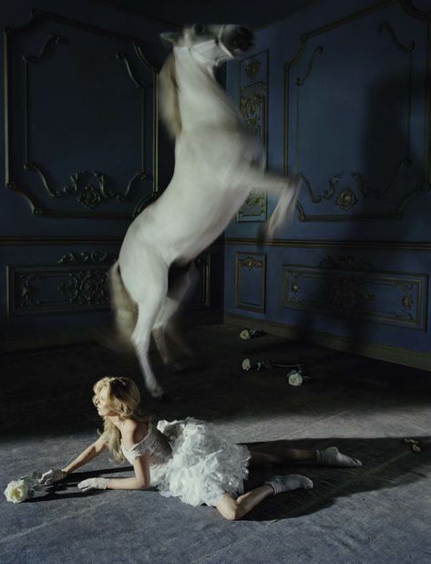 Tim Walker Photography, Magazine Vogue, Robert Mapplethorpe, Black Stallion, Tim Walker, Vogue Italia, Fashion Images, White Horse, Victoria And Albert Museum