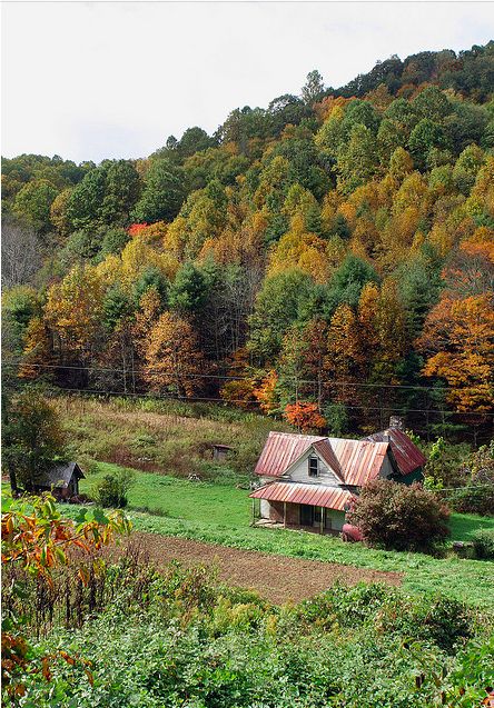 This is a personal visual of Nora Bonesteel's home. Its off on its own, but with access for people to come by, as well as the forest area where Katie Wyler. Appalachian Home Decor, Appalachian House, Appalachian Farmhouse, Appalachian Farm, Appalachian Living, Appalachian Homestead, Mountain Farmhouse, Appalachian People, Country Woman