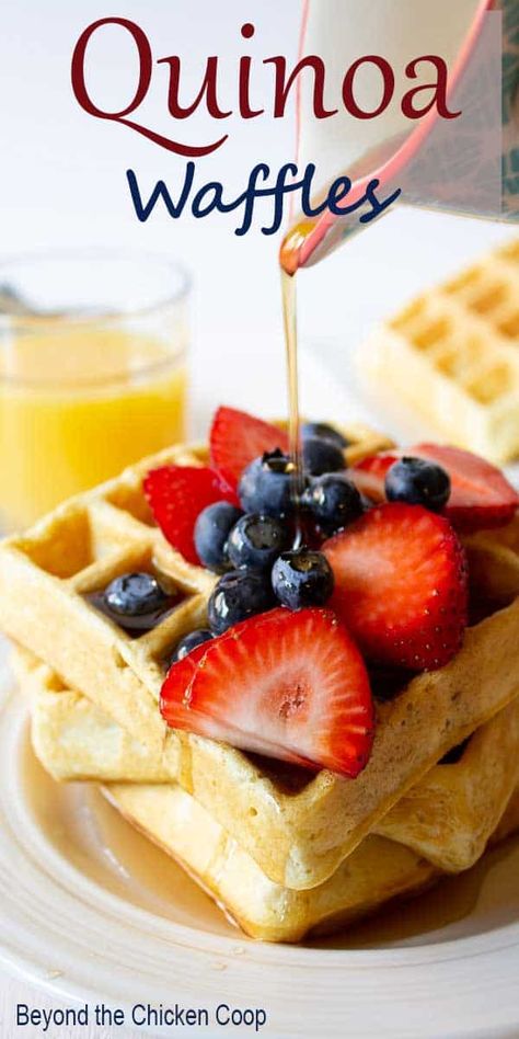 Breakfast waffles with added quinoa for an extra boost of protein and nutrition. These quinoa waffles are perfect for breakfast or brunch.  #quinoa #waffles #breakfast #quinoabreakfast Quinoa Waffles, Suburban Homesteading, Making Waffles, Waffles For Breakfast, Waffles Breakfast, Homestead Recipes, Morning Meals, Modern Homestead, March Break