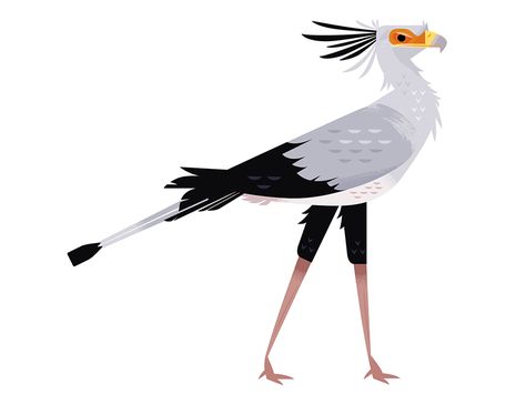 Secretary Bird Secretary Bird, Complex Art, Bird Graphic, Digital Art Beginner, Bird Sculpture, Branding Packaging, Bird Drawings, Bird Illustration, Cute Birds