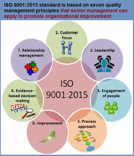 ISO 9001:2015 applies to any organization, regardless of size or industry. It can help both product and service oriented organizations achieve standards of quality that are recognized and respected throughout the world. It helps businesses and organizations to be more efficient and improve customer satisfaction. Iso 9001 2015, Quality Management System, Internal Audit, Senior Management, Quality Management, Relationship Management, Customer Satisfaction, Leadership, How To Apply