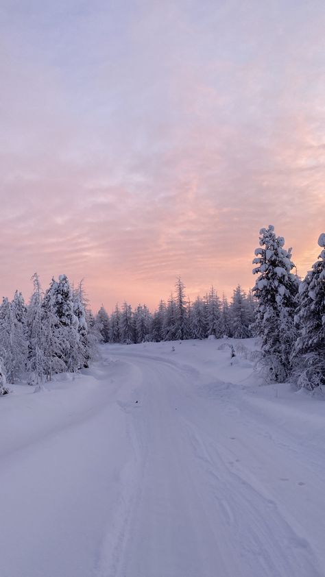 #finland Winter In Finland, Finland Wallpaper, Lapland Aesthetic, Finland Aesthetic, Japan Skiing, Finland Trip, Finland Country, Finland Winter, Niseko Japan